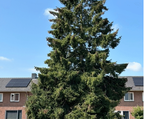 Krusenbrink